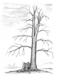 Stark Winter Tree Castle