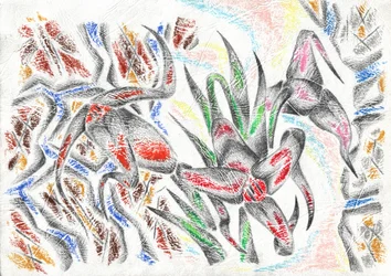 Vibrant Abstract Forms