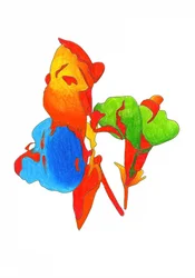 Vibrant Abstract Forms