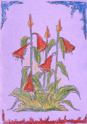 Vibrant Red Blooms
