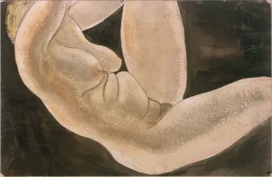 Female Nude with Raised Leg