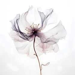 Minimalist Composition 3