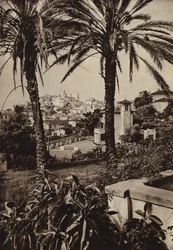 Porto Maurizio, Riviera
