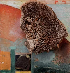 Untitled (Merz Picture with Coral)