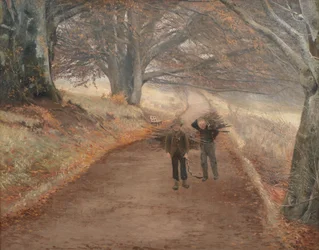 Footpath near Herlufsholm, Zealand