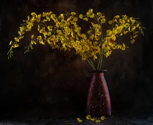 Golden Orchid Still Life