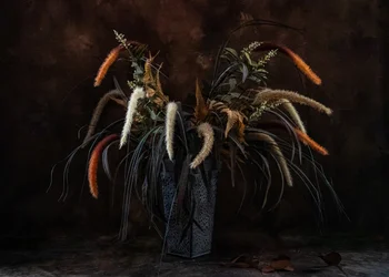 Moody Dried Botanicals