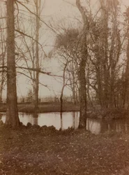 Album of the First World War in Friuli-Venezia Giulia: the pond in the park of Villa Brazza, Hospital of war n. 17, Soleschiano Manzano