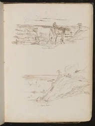 Study of two horses in landscape inscribed 