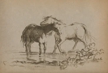 Horses