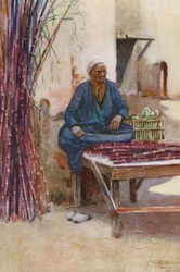 People of Egypt: Sugar-Cane Seller, Baia Kasseb