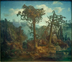 Old Pines