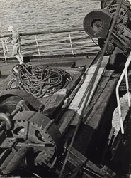 Photoreporter in the North Arctic Sea