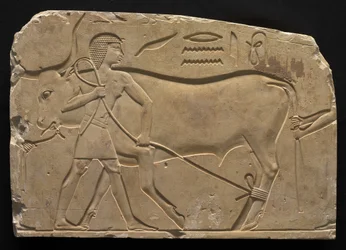 Men Trussing an Ox, 667-647 BC