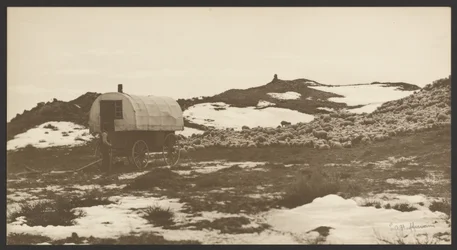 Drifter, Sheep Wagon and Band on Winter Bedground