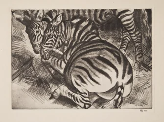 Zebras