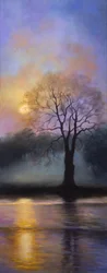 Bushy Park Dusk