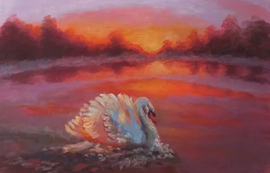 Onwards, Swan Swimming, 2024