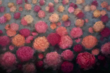 Peony Bent, 2025