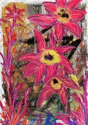 Vibrant Pink Blooms