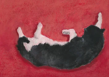Happy Dog On Red