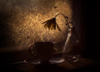 Golden Light Coffee Flower