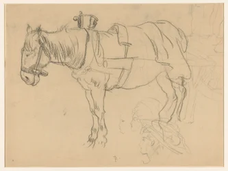 Harnessed Horse and Head Studies