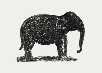 Elephant (ca. 1891-1941)