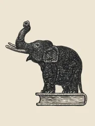 Elephant on Book 1935