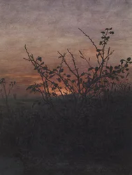 Blackthorn (?) in front of a Landscape at Sunset