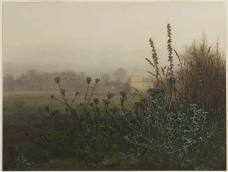 Rural Landscape