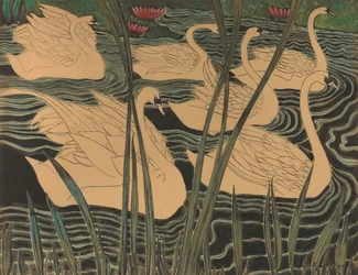 Swans