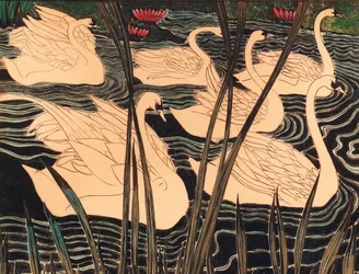 Swans, c. 1900