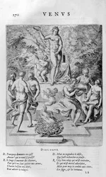 Venus