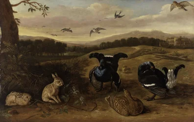 Black Game, Rabbits and Swallows in a Park
