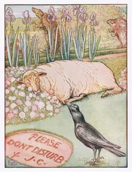 And the Sheep Went to Sleep, Illustration from 