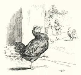 Higgley Piggley, my black hen