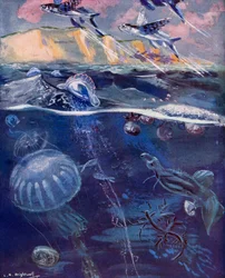 Life in the Open Sea