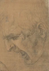 Head of a screaming man