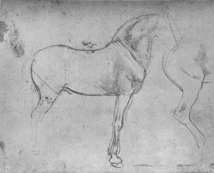 A Horse in Profile to the Right and its Hind-Quarters, c1480, 1945