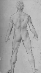 A Nude Man seen from the Back, c1480-1945