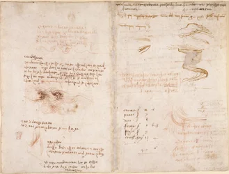 Notes on the sense of reality in dreams, on water, and the Rivers Sieve and Arno (upside-down), from 
