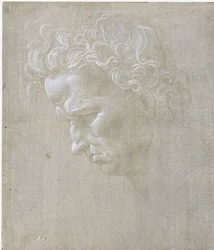 Expressive Head of a Man in Profile