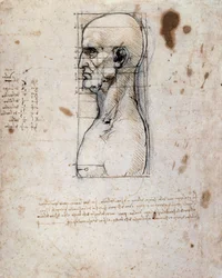 Bust of a man in profile with measurements and notes