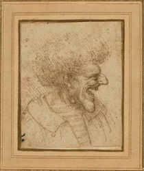 Caricature of a Man with Bushy Hair