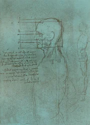 Drawing Illustrating the Theory of the Proportions of the Human Figure