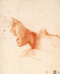 Study of a Soldier