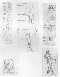 Five drawings illustrating the theory of the proportions of the human figure, c. 1472-c. 1519