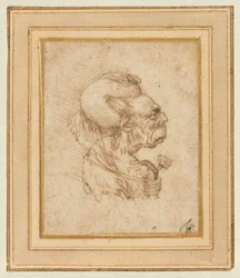Grotesque Head of an Old Woman