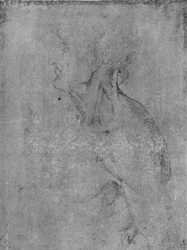 Head and Bust of an Old Man to the Left